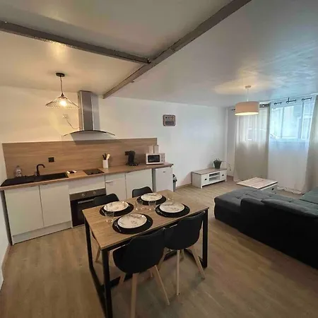 Proche Centre Appartement Castres (Tarn)